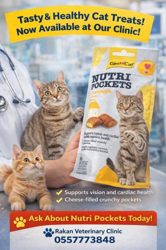 مكافاءات جيم كات بالجبنة