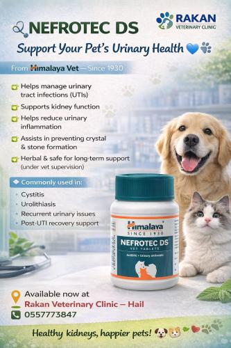 Your DS for treating bladder and urinary tract inf...