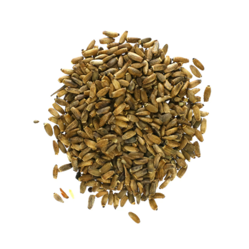 بذور حليب الشوك