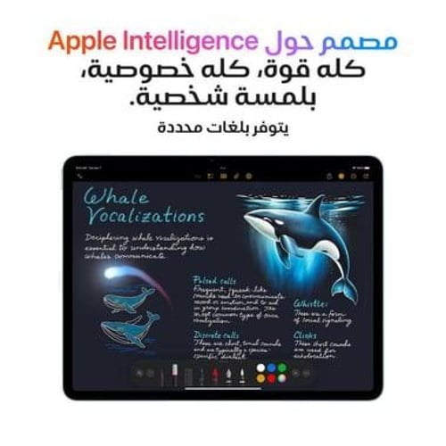 ابل آيباد آير 13 أم 3 2025 ذاكرة 256 جيجابايت