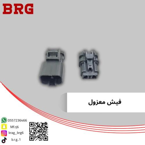 فيش معزول