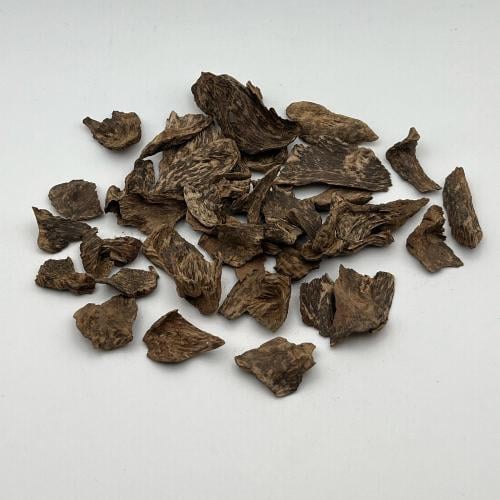 سيلاني غابة آدم دبل سوبر