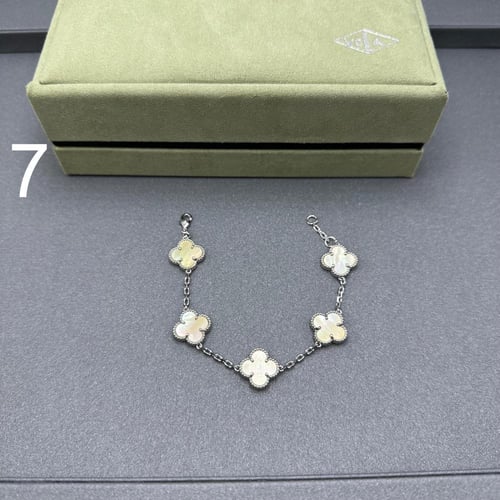 إسواره فان كليف 06