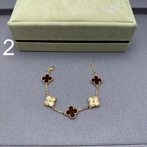 إسواره فان كليف 02