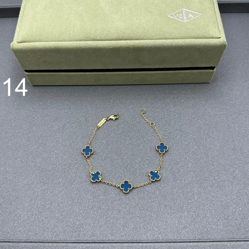 إسواره فان كليف 04