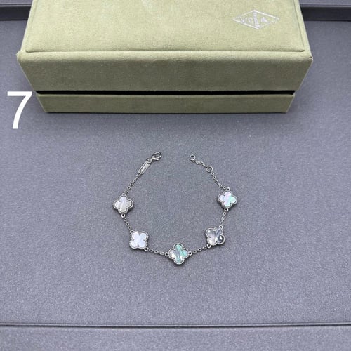 إسواره فان كليف 05