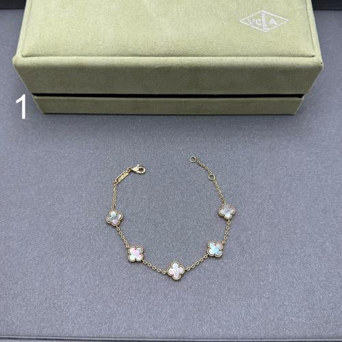 إسواره فان كليف 05