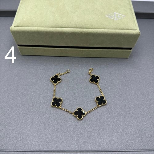 إسواره فان كليف 07