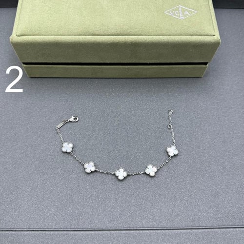 إسواره فان كليف 05