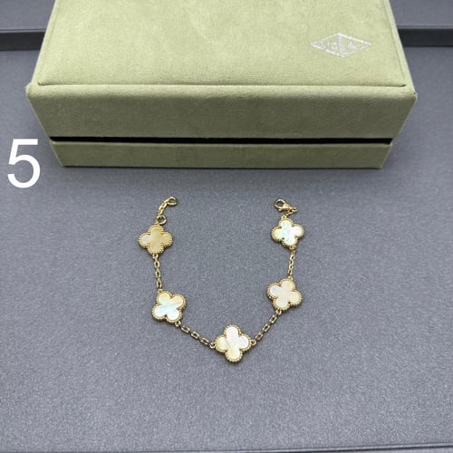 إسواره فان كليف 06