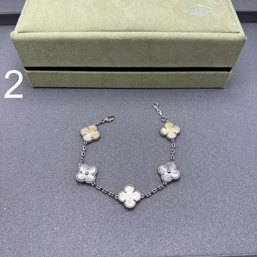 إسواره فان كليف 01