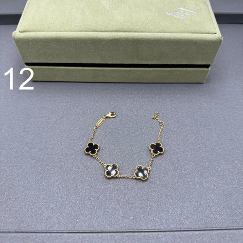 إسواره فان كليف 05