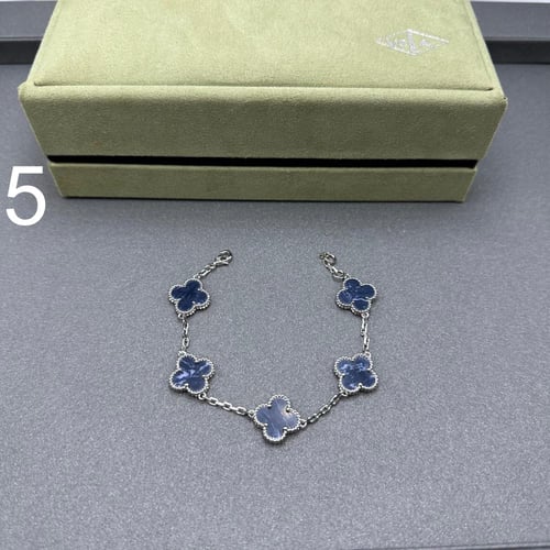 إسواره فان كليف 07