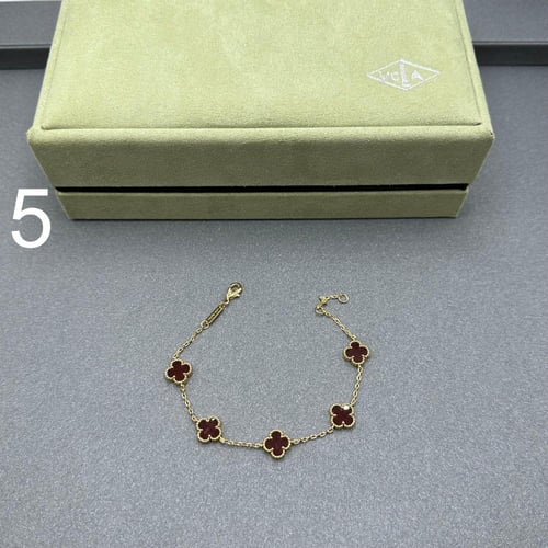 إسواره فان كليف 05