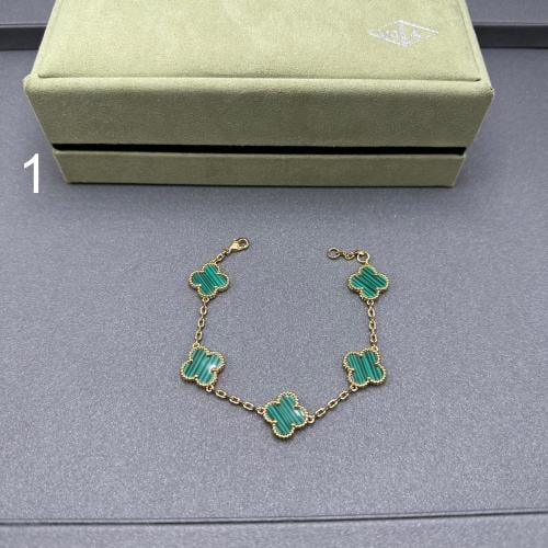 إسواره فان كليف 06