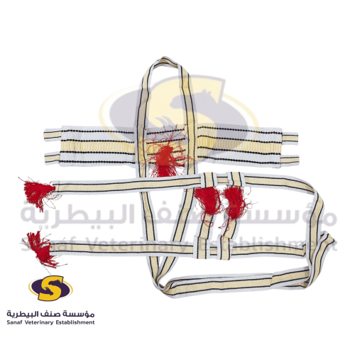 جنايب إبل سورية مزينة أبيض