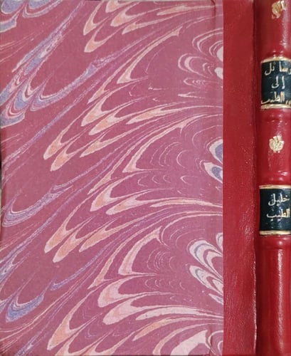 رسائل إلى أبي الطيب