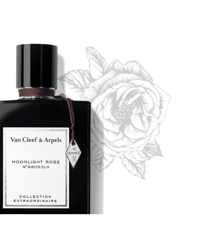 فان كليف آند آربلز عطر مون لايت روز او دي بارفان 7...