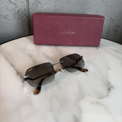 نظارة كارتير للجنسين