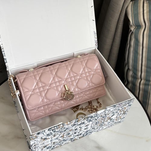 شنطه ديور بينك