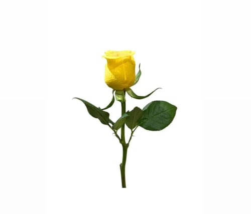 تخصيص الهديه حسب ذوقك