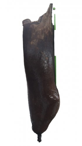 مشراب ماء 7 لتر من الجلد الطبيعي قربة