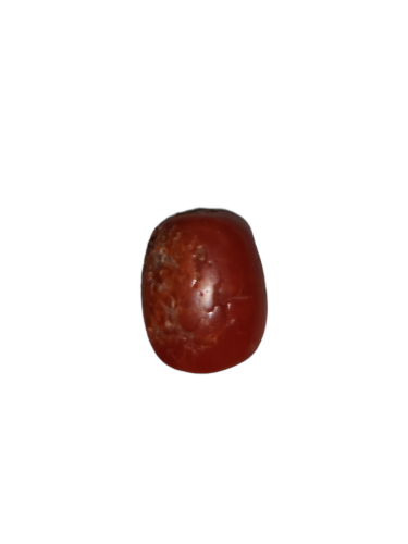 حجر مرجان طبيعي تونسي