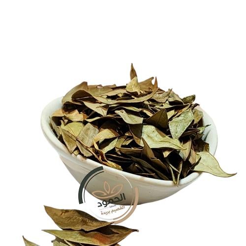 عشبة الاس