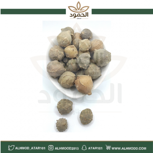 العفص