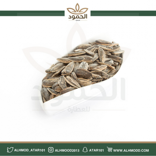 حب دوار الشمس شمسي مملح