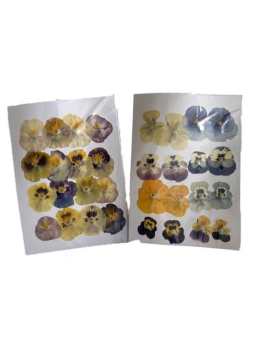 ورد زينة قابل للاكل 32 حبه