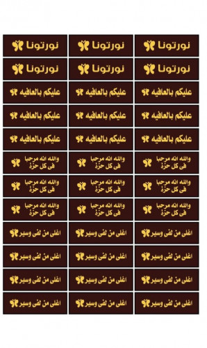 ترانسفير ترحيب مستطيل N-12