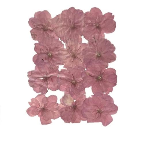 ورد طبيعي قابل للاكل 12حبه