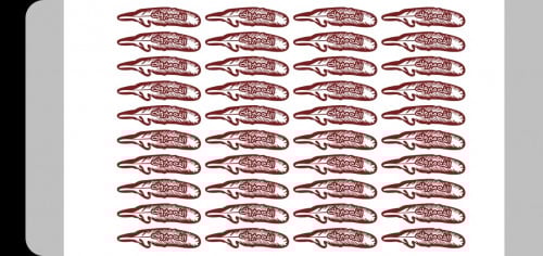 ترانسفير الف مبروك N-19