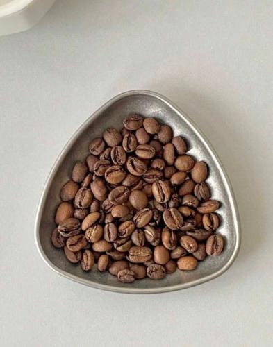 صحن ستانلس ستيل