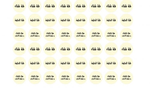 ترانسفير الشتاء N-09