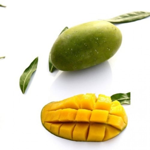 كرتون مانجو زبدة هندي