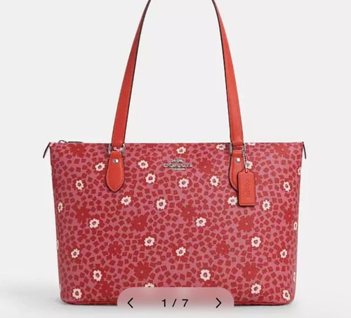 coach tote bag