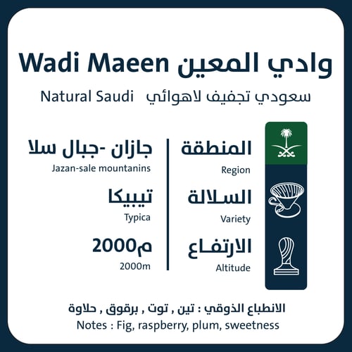 وادي المعين - جازان 250G