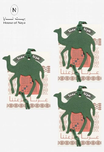 علاقة مفاتيح جلد