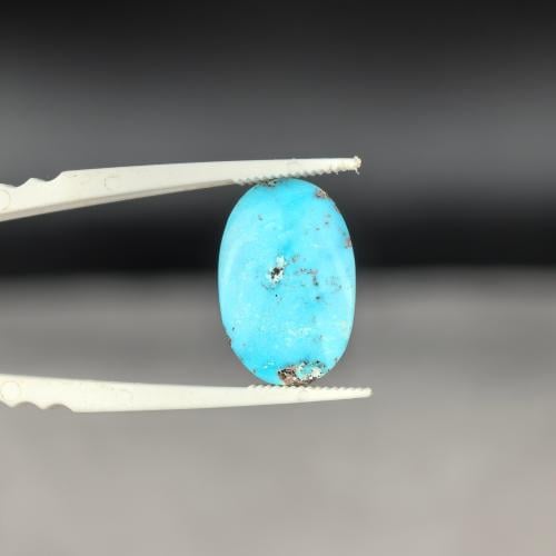 فص فيروز نيشابوري