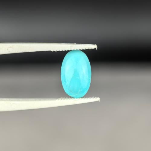 فص فيروز نيشابوري