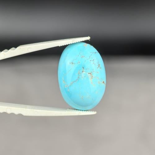 فص فيروز نيشابوري