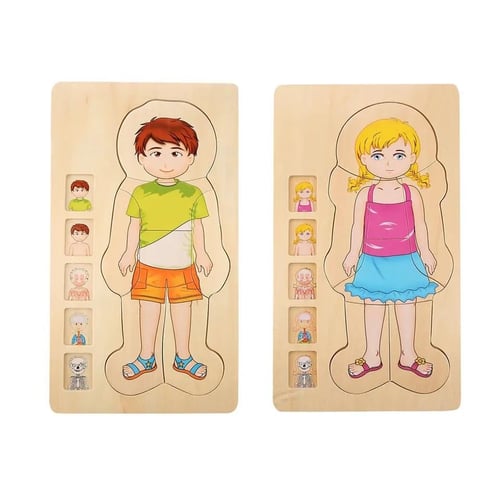 بزل تشريح جسم الانسان الخشبي