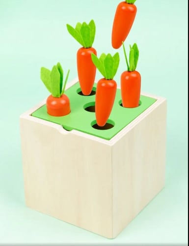 لعبة مونتيسوري 5 في 1