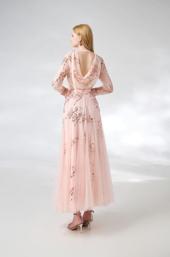 مجموعة فاوانيا