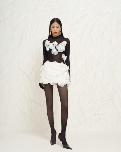 مجموعة لابيسا