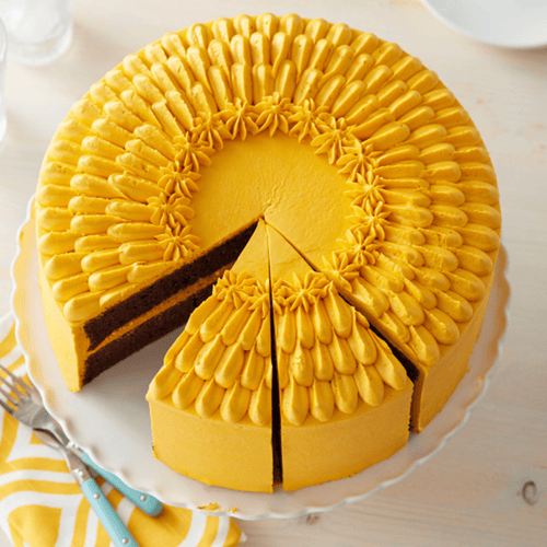 ويلتون بيرفورمانس صينية دائرية بيرفورمانس 12x2 انش