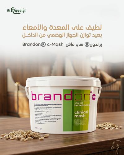براندون ماش وطارد رمل