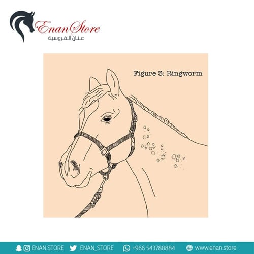 شامبو Fungasol للحساسية